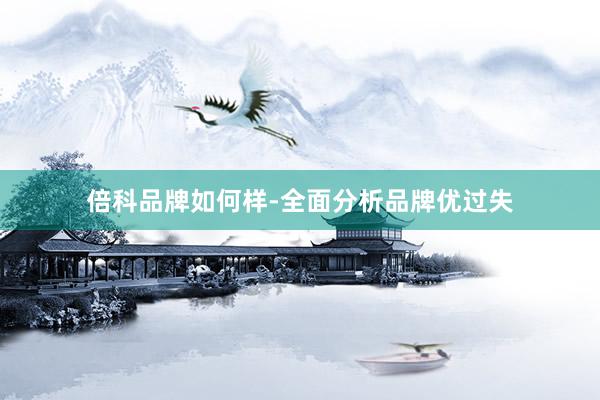 倍科品牌如何样-全面分析品牌优过失