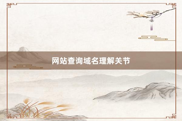 网站查询域名理解关节